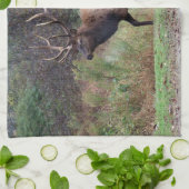 Serviette de cuisine en wapiti (Plié)