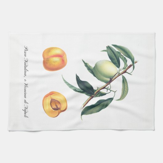 Serviette de cuisine italienne de pêche (Horizontal)