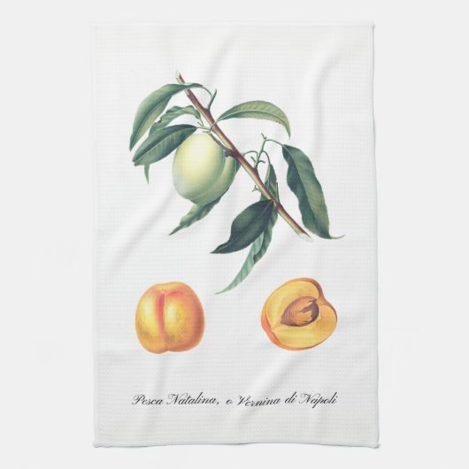 Serviette de cuisine italienne de pêche (Vertical)