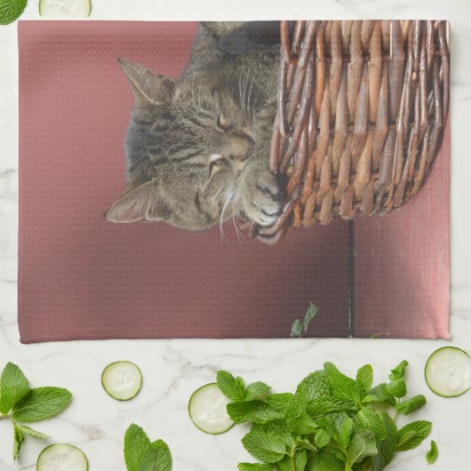 Serviette de cuisine Kitty Cat (Plié)