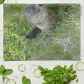 Serviette de cuisine Marmotte (Plié)