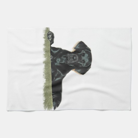 Serviette de cuisine noire de laboratoire (Horizontal)