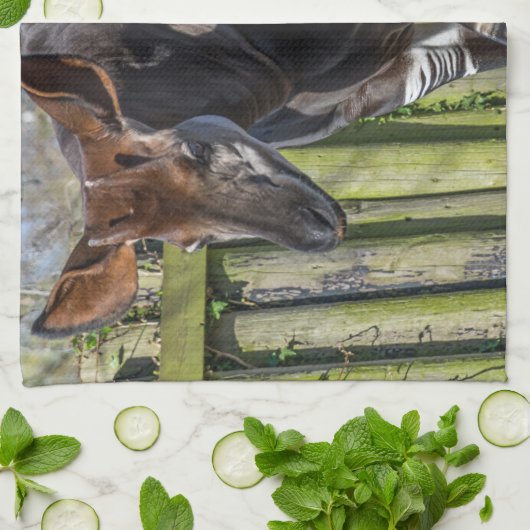 Serviette de cuisine Okapi (Plié)