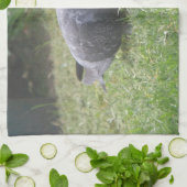 Serviette de cuisine Pigeon couchage (Plié)