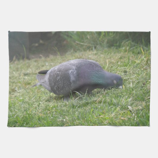 Serviette de cuisine Pigeon couchage (Horizontal)