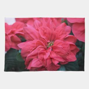 Serviette de cuisine Poinsettia