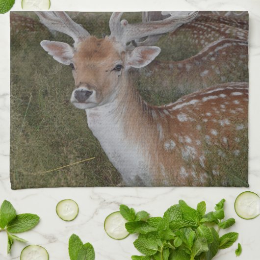 Serviette de cuisine pour cerfs (Plié)