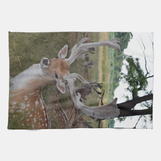Serviette de cuisine pour cerfs (Horizontal)
