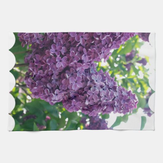 Serviette de cuisine pourpre de lilas (Horizontal)