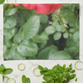 Serviette de cuisine Rose sauvage (Plié)