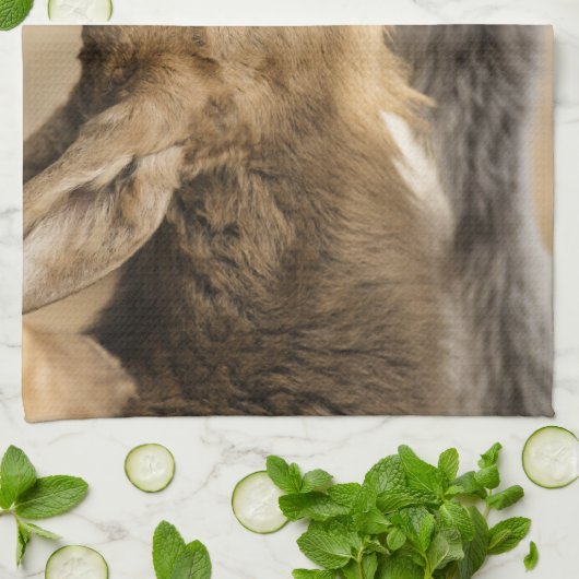 Serviette de cuisine soif Moose Calf (Plié)