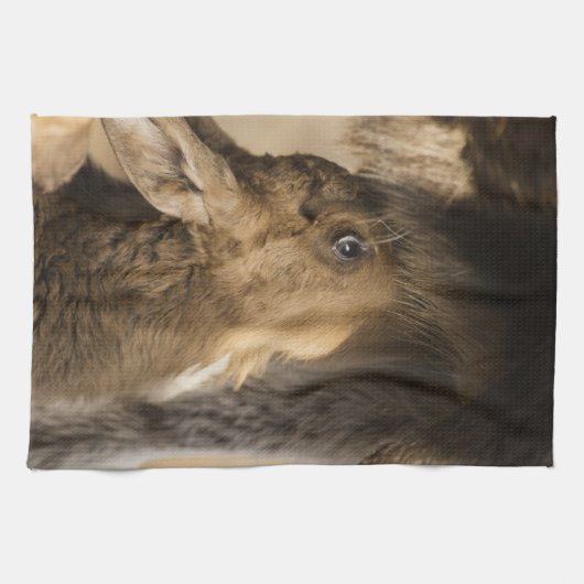 Serviette de cuisine soif Moose Calf (Horizontal)
