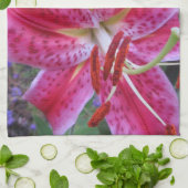 Serviette de cuisine--Stargazers-2 (Plié)