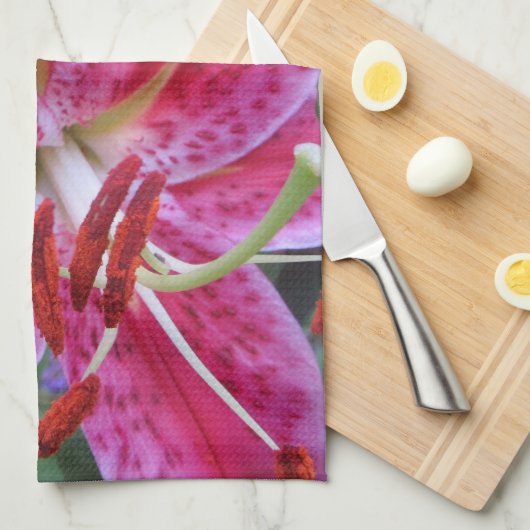 Serviette de cuisine--Stargazers-2 (Quart Plié)