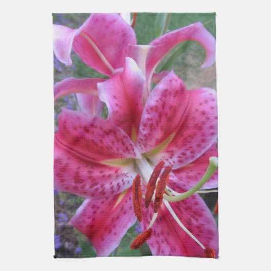 Serviette de cuisine--Stargazers-2 (Vertical)