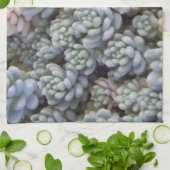 Serviette de cuisine succulente (Plié)