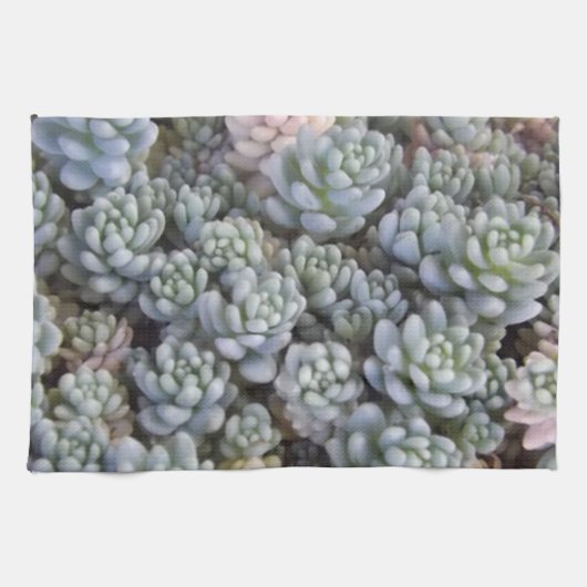 Serviette de cuisine succulente (Horizontal)