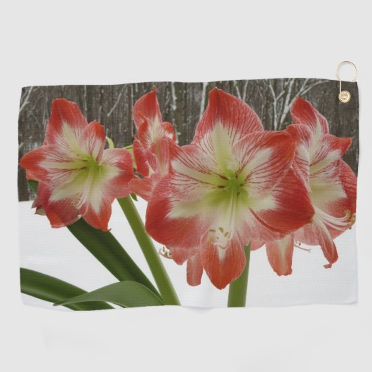 Serviette De Golf Amaryllis en Fête Rouge Neige Hiver Floral (Horizontal)
