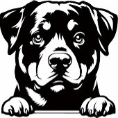 Serviette De Golf Amoureux de Rottweiler