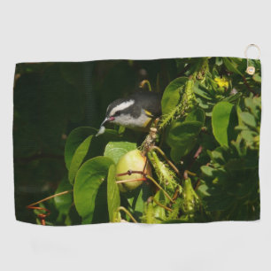 Serviette De Golf Bananaquit Bird Mange Photographie tropicale