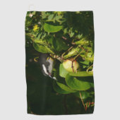 Serviette De Golf Bananaquit Bird Mange Photographie tropicale (Devant)