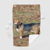 Serviette De Golf Beagle (En situation)