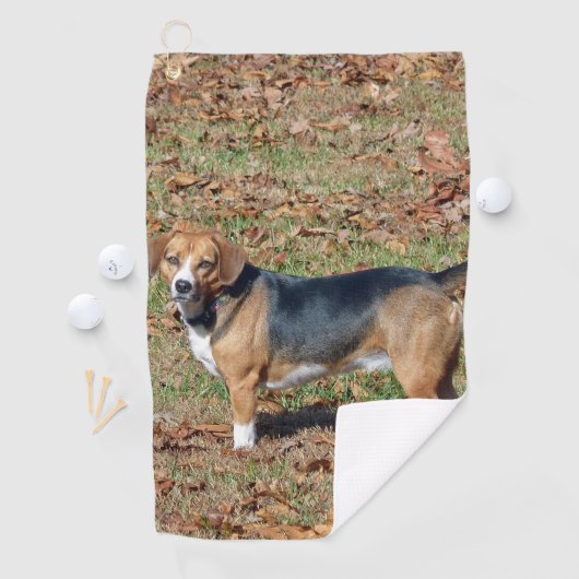Serviette De Golf Beagle (En situation)