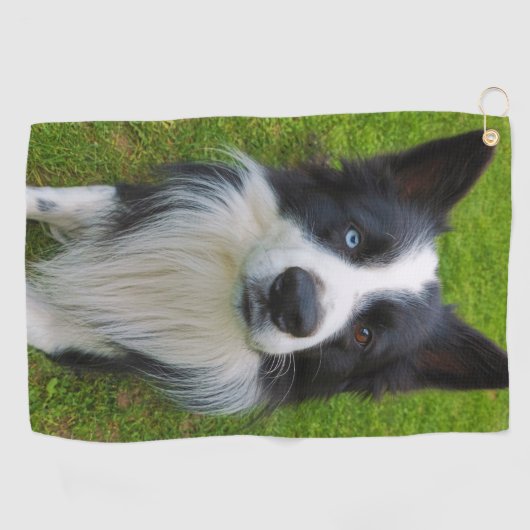 Serviette De Golf Bordure Collie (Horizontal)