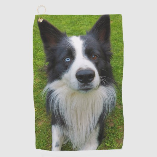 Serviette De Golf Bordure Collie (Devant)