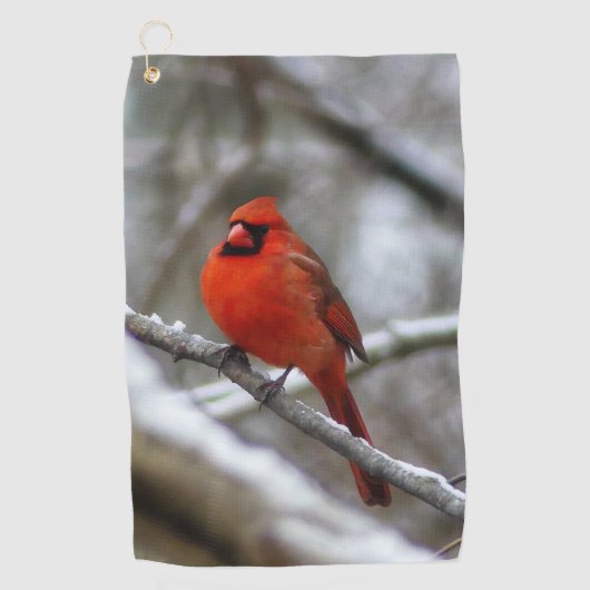 Serviette De Golf Cardinal masculin (Devant)