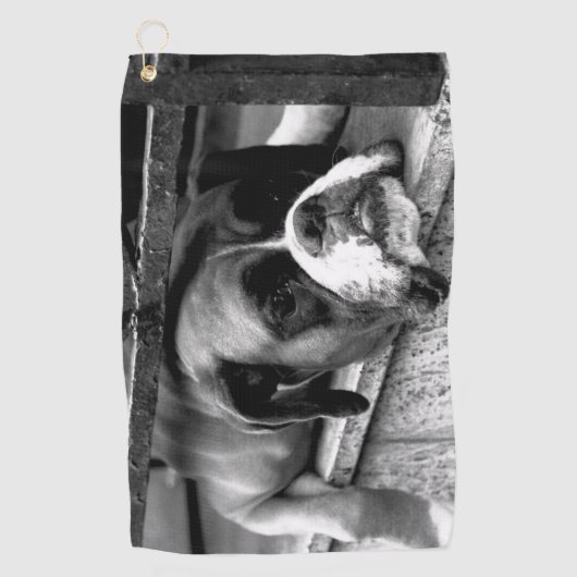 Serviette De Golf Chien de boxe sur Windowsill gtcna (Devant)