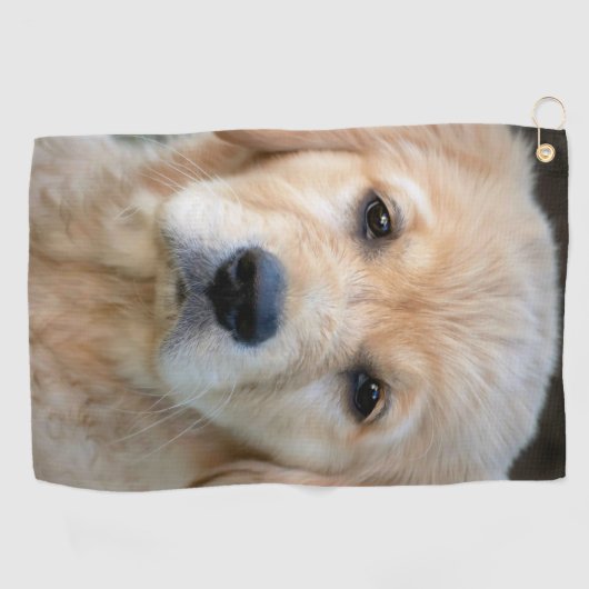 Serviette De Golf Chiot Golden Retriever (Horizontal)