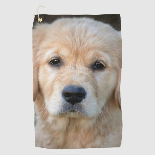 Serviette De Golf Chiot Golden Retriever (Devant)