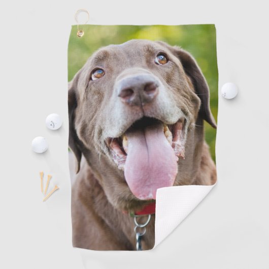 Serviette De Golf Chocolate Labrador Dog (En situation)