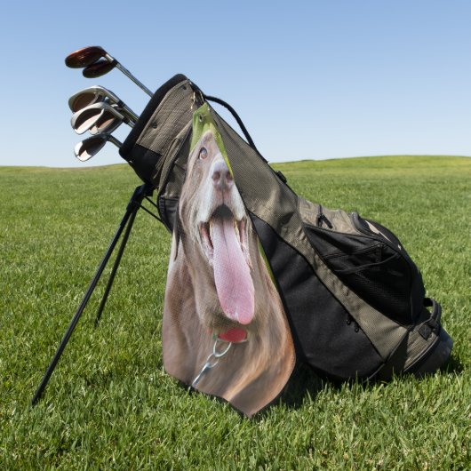 Serviette De Golf Chocolate Labrador Dog (Vert)