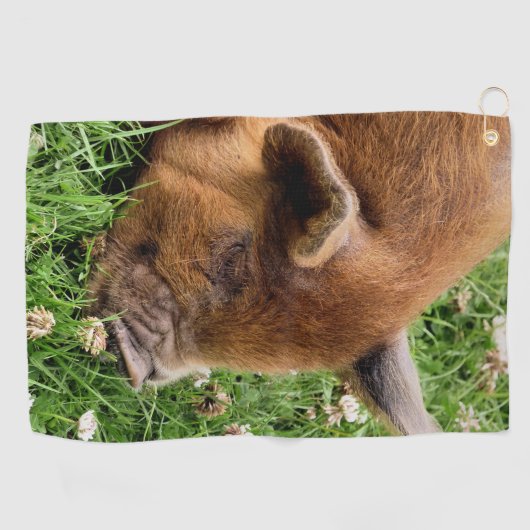 SERVIETTE DE GOLF COUPER (Horizontal)