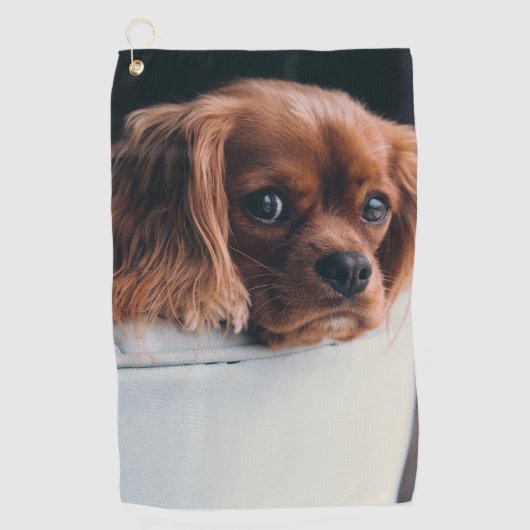 Serviette De Golf Créez votre propre animal de compagnie personnalis (Devant)