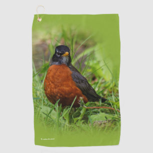 Serviette De Golf Curieux oiseau-chanteur américain Robin dans l'her