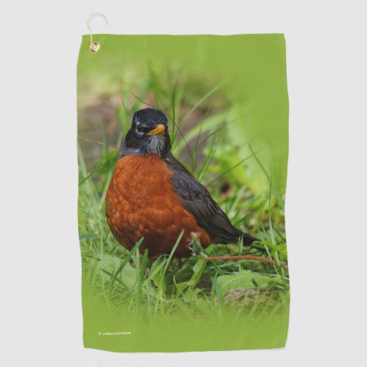 Serviette De Golf Curieux oiseau-chanteur américain Robin dans l'her (Devant)