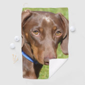 Serviette De Golf Dachshund (En situation)