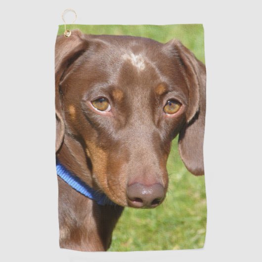 Serviette De Golf Dachshund (Devant)