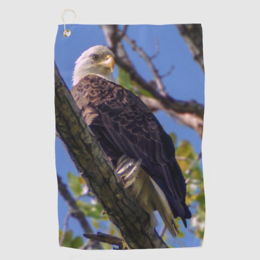 Serviette de golf d'Eagle chauve (Devant)