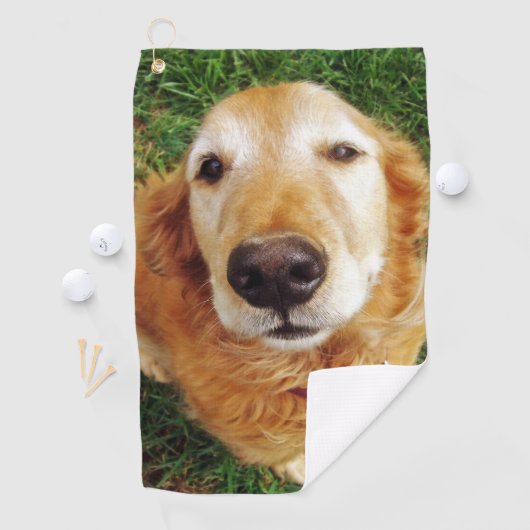 Serviette De Golf Golden Retriever (En situation)