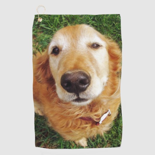 Serviette De Golf Golden Retriever (Devant)