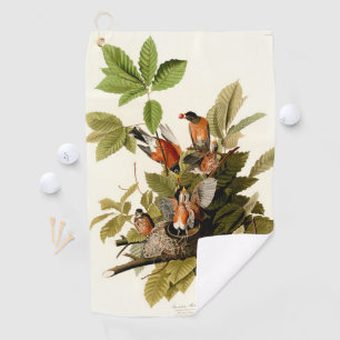 Serviette De Golf Illustration Audubon American Robin Wildlife Bird