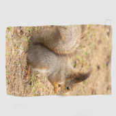 Serviette De Golf L'écureuil mignon mange une photo de noix (Horizontal)