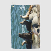 Serviette De Golf Lions de la mer de San Diego (Devant)