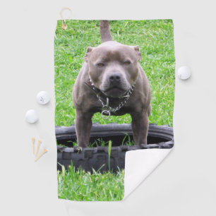 Serviette De Golf Mâle adulte Staffordshire Terrier prêt à jouer,