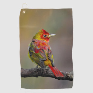 Serviette De Golf Moulage de Tangère - Photo originale