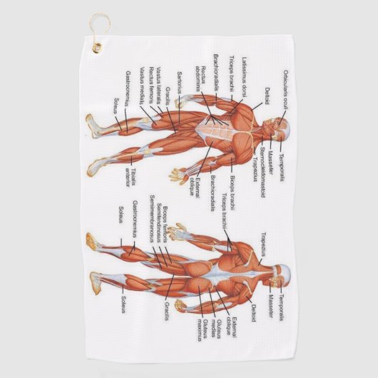 Serviette De Golf Muscle Diagram medgifts101 (Devant)